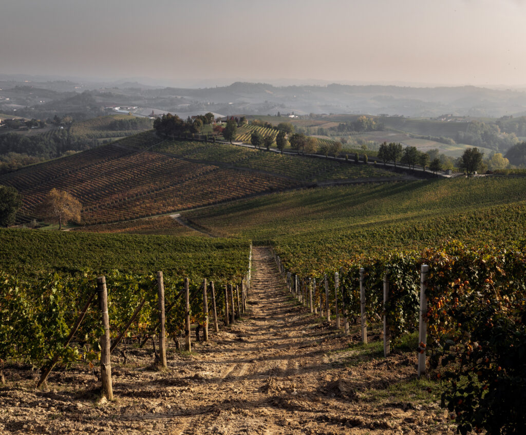 Vinranker i Italia